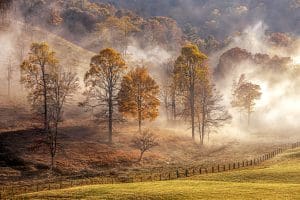 An autumn mist burns off along Madams Creek near Hinton. 