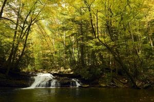 As much as its defined by its natural beauty, West Virginia is defined by its remarkable history.