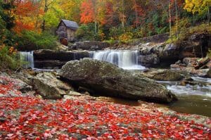 West Virginia State Parks Foundation