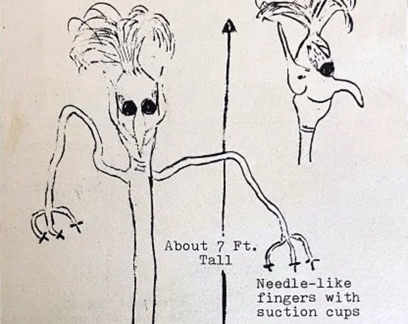 In the wooded hills of northern West Virginia, Vegetable Main appeared in 1968.