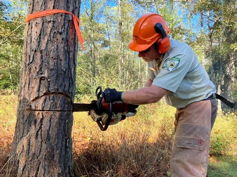 West Virginia State Parks Foundation