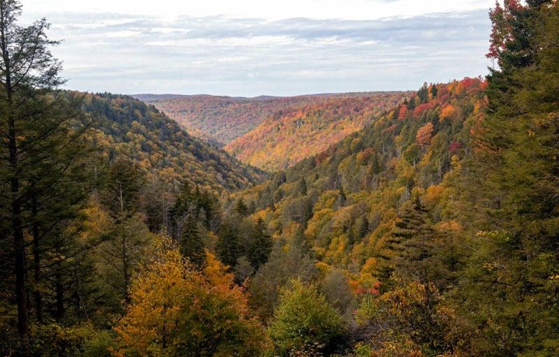 West Virginia Wildfires