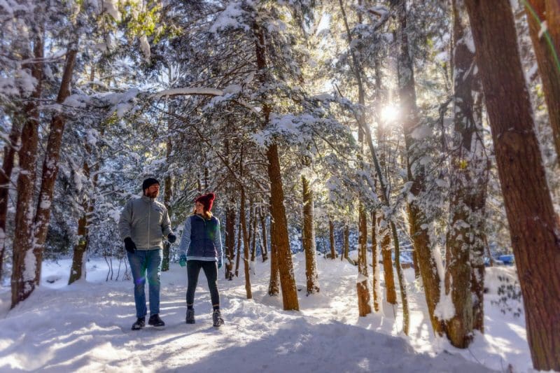 Held at 21 state parks and forests across West Virginia, the First Day hikes are part of a nationwide New Year’s Day tradition designed to promote outdoor recreation.