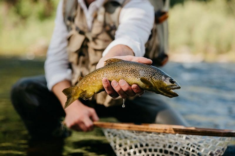 Trout stocking: Hatchery crews stocked trout in 46 lakes and streams across West Virginia during the week of Jan. 5.