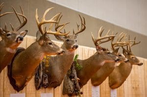 West Virginia Hunting and Fishing Show